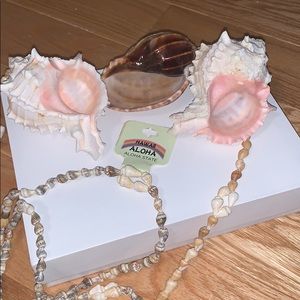 Hawaiian Sea Shells and necklace